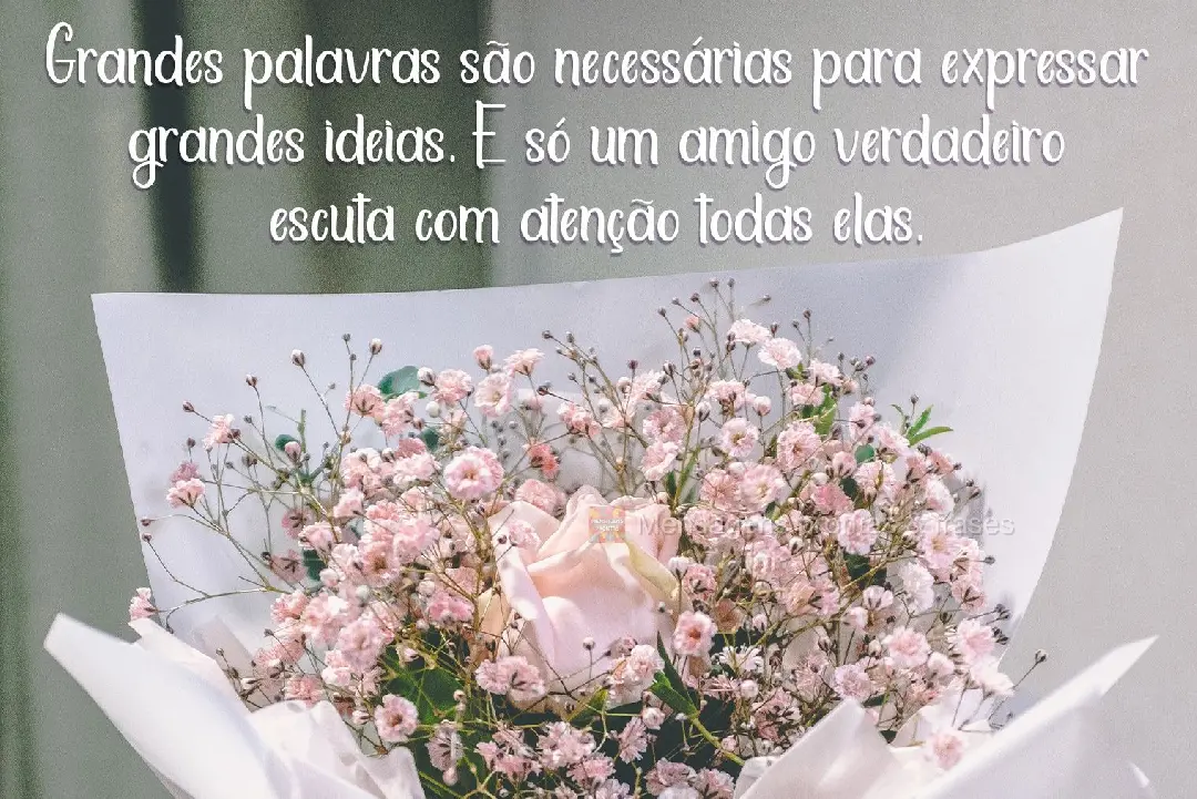 Muitas palavras são necessárias para expressar grandes ideias. E só um amigo verdadeiro escuta com atenção cada uma delas.