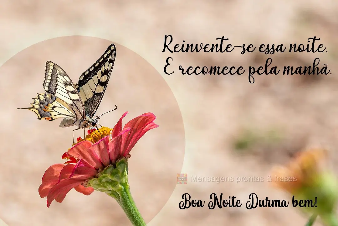 Reinvente-se nesta noite e recomece pela manhã! Boa Noite. Durma bem!
