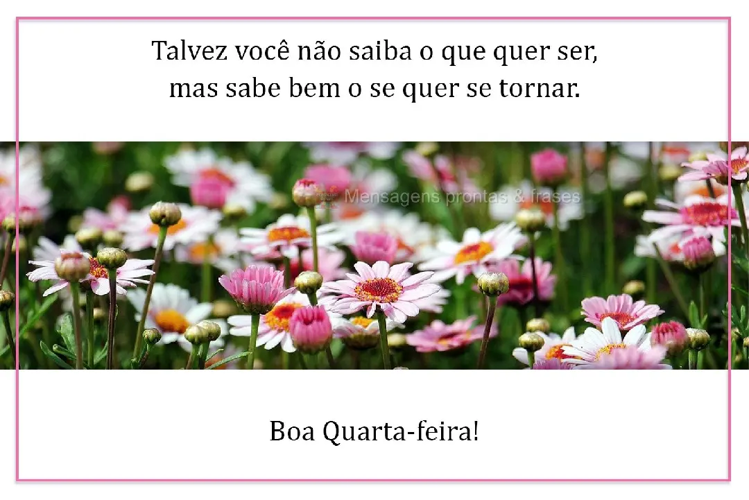 Talvez você não saiba o que quer ser, mas sabe bem o se quer se tornar.  Boa Quarta-feira!