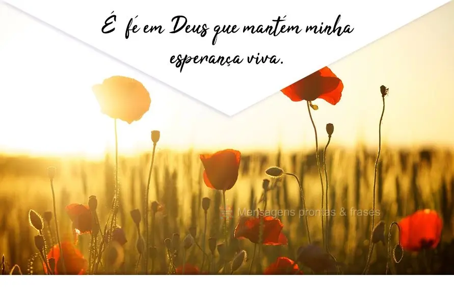 É a fé em Deus que mantém minha esperança viva.