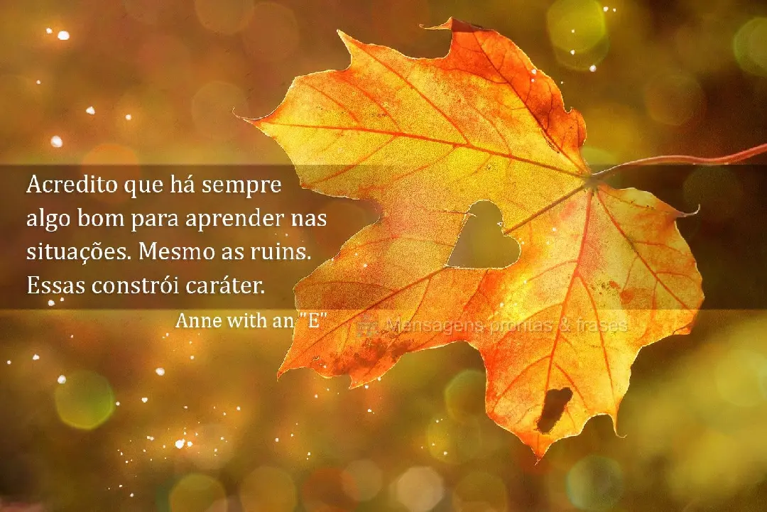 Acredito que há sempre algo bom para aprender nas situações, mesmo as ruins. Essas constroem caráter. Anne with an 