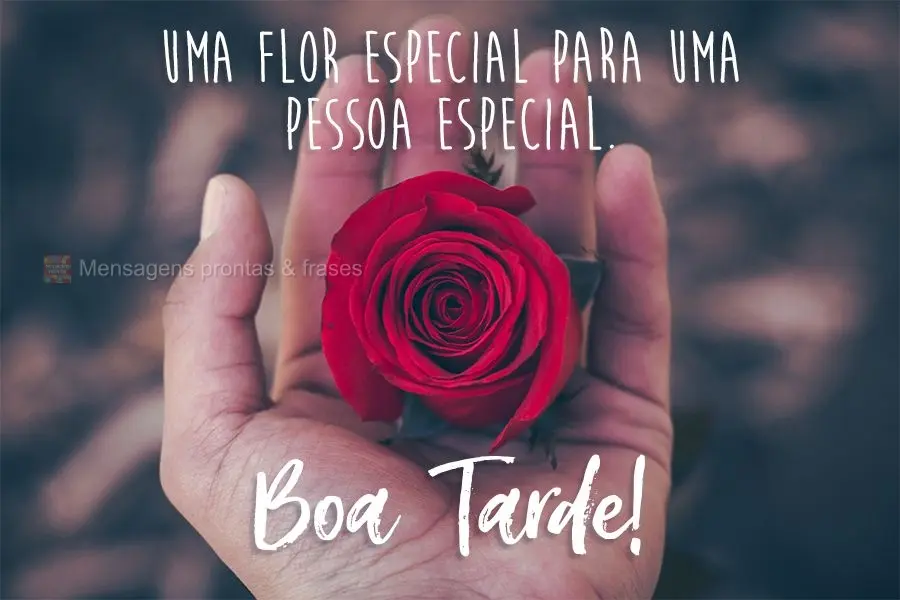 Uma flor especial para uma pessoa especial. Boa Tarde!