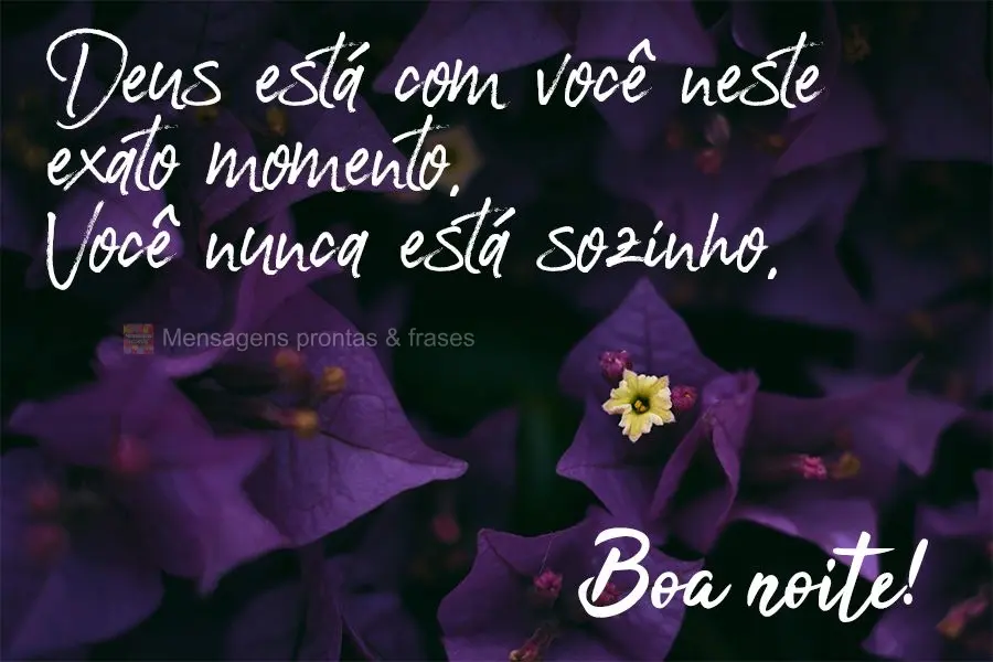 Deus está com você neste exato momento. Você nunca está sozinho.  Boa Noite!