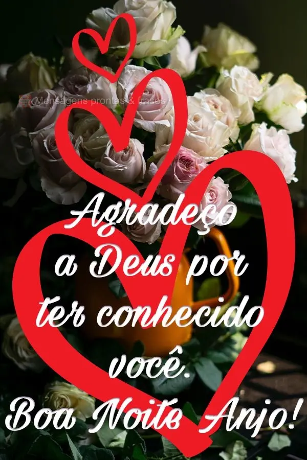 Agradeço a Deus por ter conhecido você.  Boa Noite Anjo!