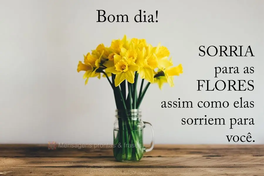 Sorria para as flores assim como elas sorriem para você. Bom dia! 