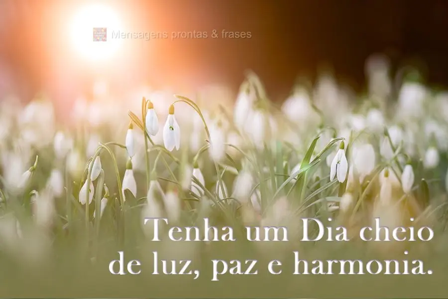 Tenha um Dia cheio de luz, paz e harmonia.