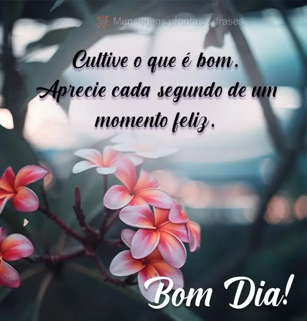 Cultive o que é bom. Aprecie cada segundo de um momento feliz.  Bom Dia!