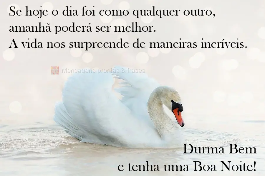 Se hoje o dia foi como qualquer outro, amanhã poderá ser melhor. A vida nos surpreende de maneiras incríveis.  Durma Bem e tenha uma Boa Noite!