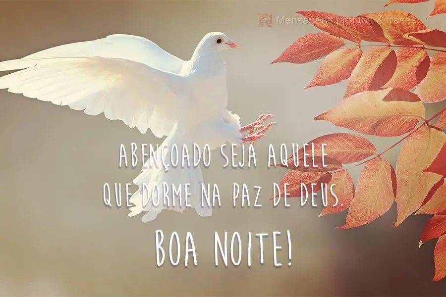 Abençoado seja aquele que dorme na paz de Deus. Boa Noite!