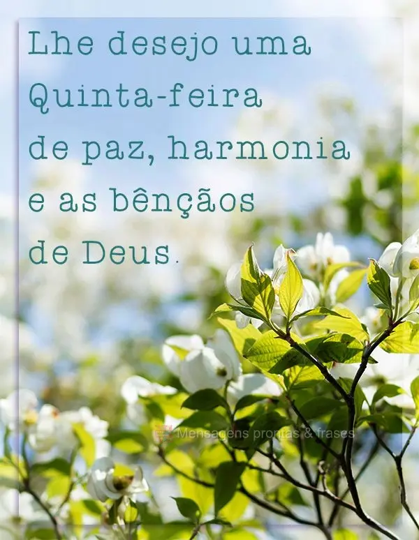 Lhe desejo uma Quinta-feira de paz, harmonia e as bênçãos de Deus.