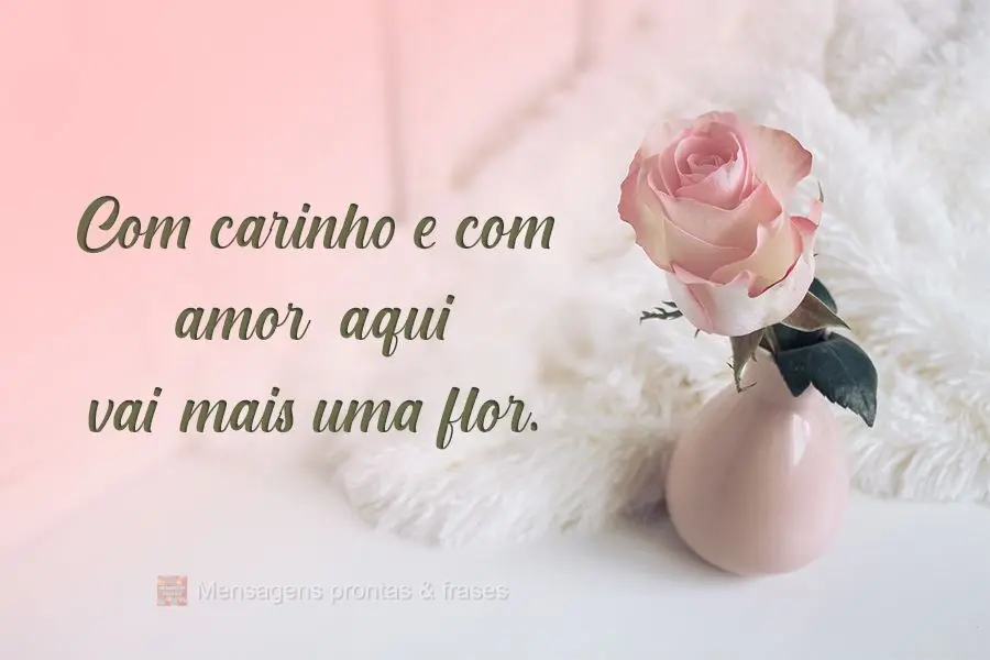 Com carinho e com amor, aqui vai mais uma flor.