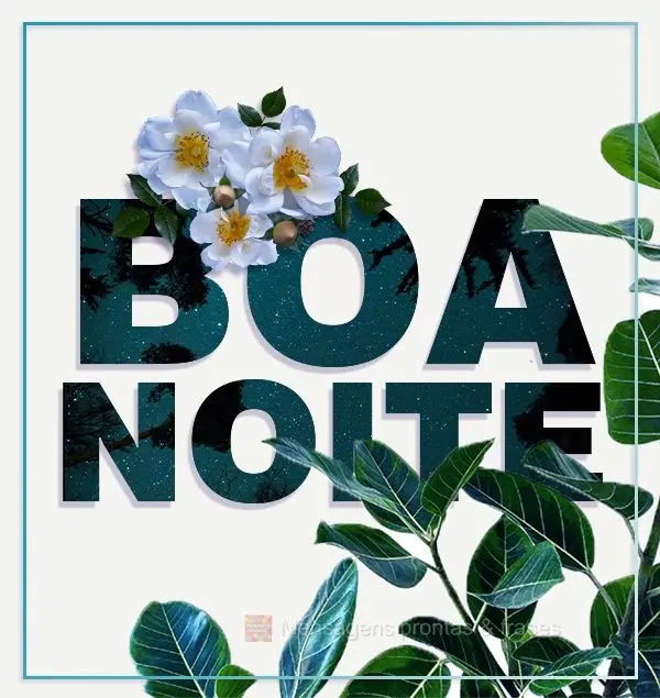 BOA NOITE
