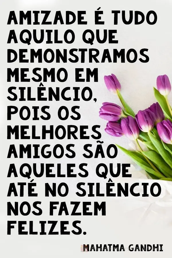 Amizade é tudo aquilo que demonstramos mesmo em silêncio, pois os melhores amigos são aqueles que até no silêncio nos fazem felizes. Mahatma Gandhi...