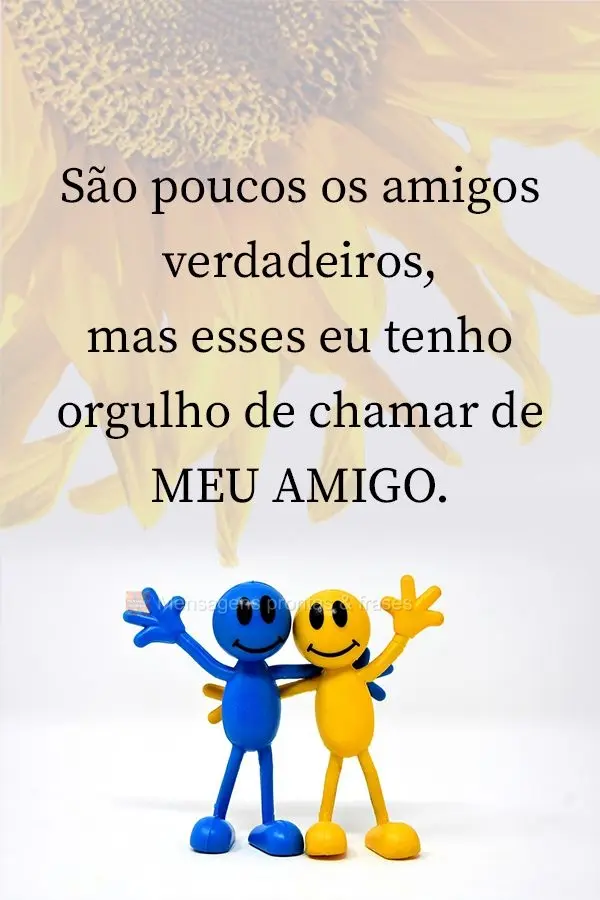 São poucos os amigos verdadeiros, mas esses eu tenho orgulho de chamar de MEUS AMIGOS.