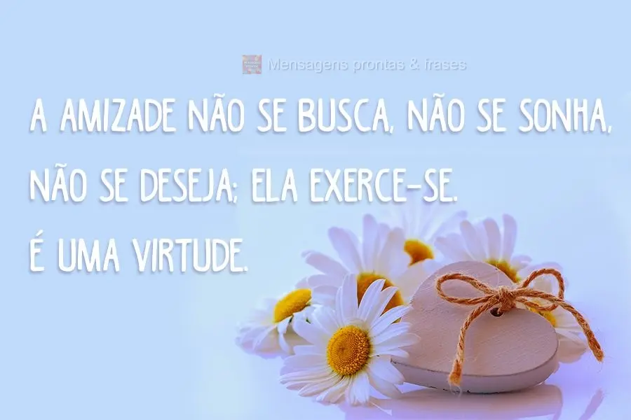 A Amizade não se busca, não se sonha, não se deseja; ela se exerce. É uma virtude!