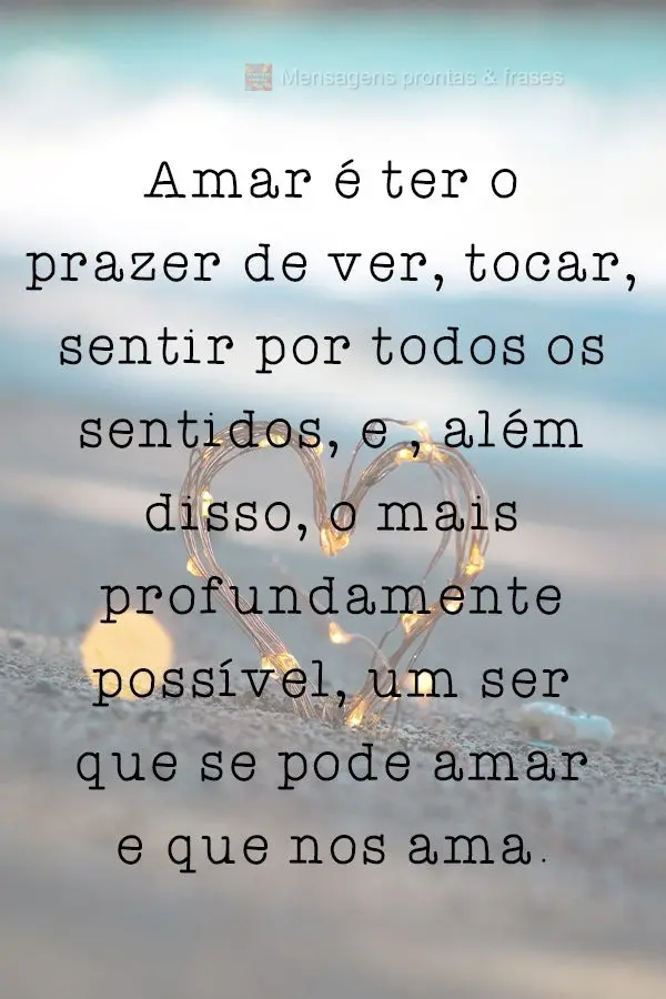 Amar é ter o prazer de ver, tocar e sentir por todos os sentidos. 

E, além disso, o mais profundamente possível, ter alguém para amar e ser amado....