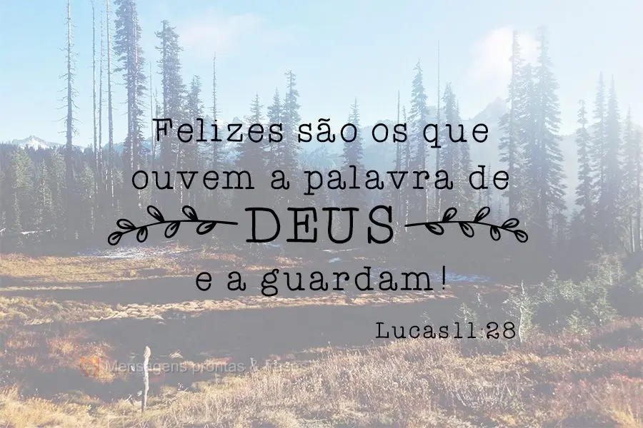 Felizes são os que ouvem a palavra de Deus e a guardam!. Lucas11:28