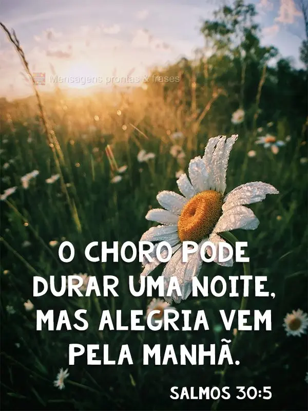 O choro pode durar uma noite, mas alegria vem pela manhã.  Salmos 30:5