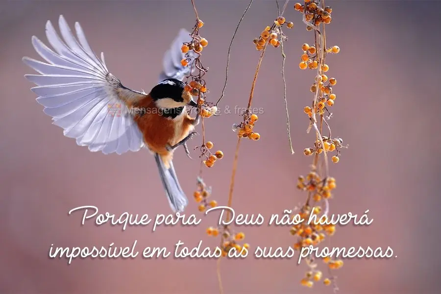 Por que para Deus não haverá impossível em todas as suas promessas.