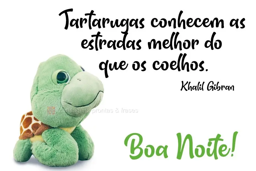 Tartarugas conhecem as estradas melhor do que os coelhos. Khalil Gibran