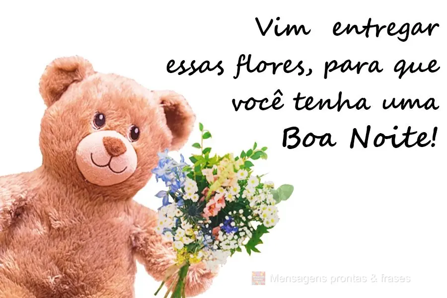 Vim entregar essas flores, para que você tenha uma Boa Noite!