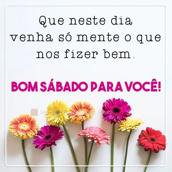 Que neste dia venha somente o que nos fizer bem. Bom Sábado para você!