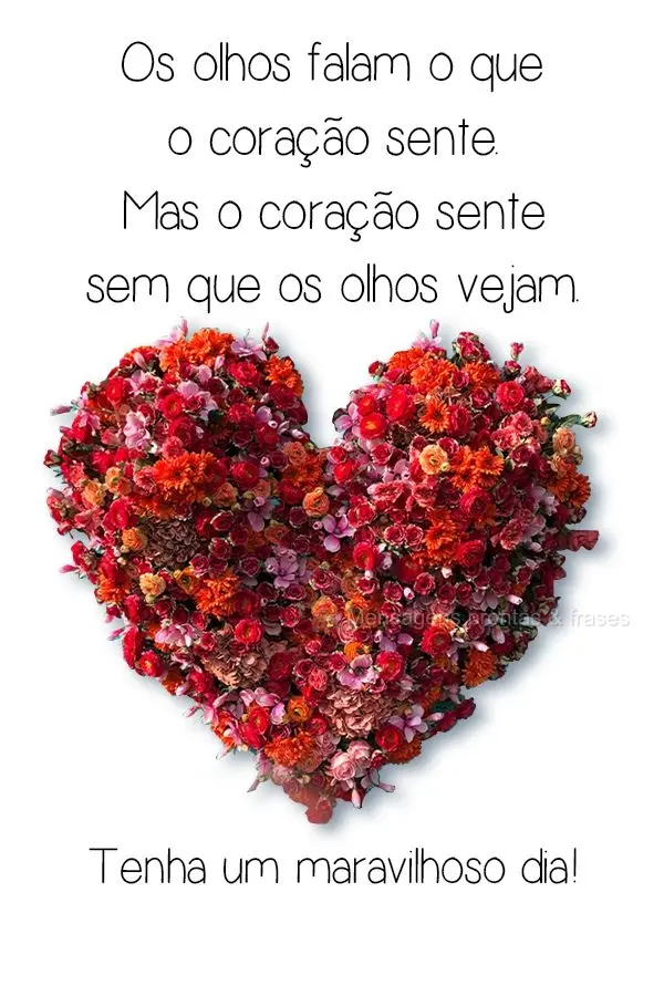 Os olhos falam o que o coração sente. Mas o coração sente sem que os olhos vejam. 
 Tenha um maravilhoso dia!