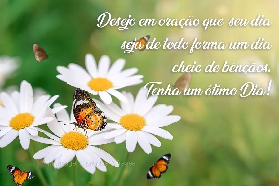 Desejo em oração que  seu dia seja de toda forma um dia cheio de bênçãos. 
 Tenha um ótimo Dia!