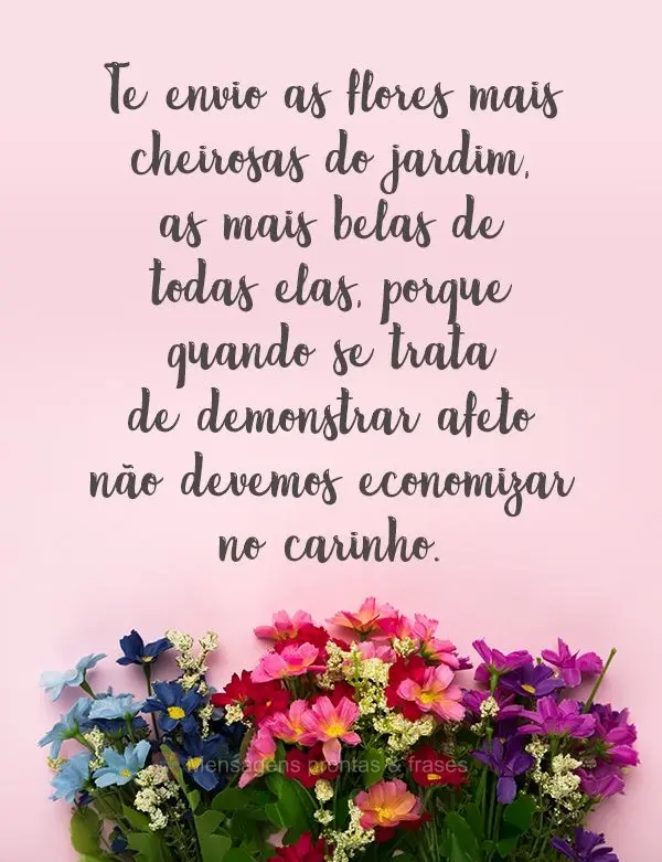 Te envio as flores mais cheirosas do jardim, as mais belas de todas elas, porque quando se trata de demonstrar afeto não devemos economizar no carinho. ...