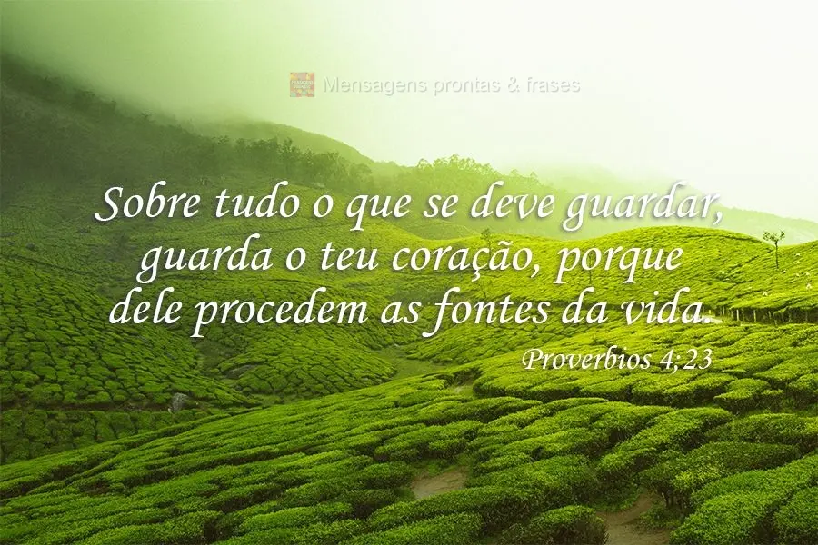 Sobre tudo o que se deve guardar, guarda o teu coração, porque dele procedem as fontes da vida.  Provérbios 4;23