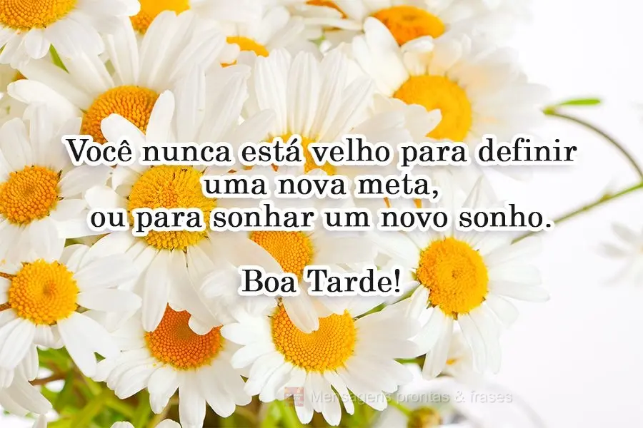 Você nunca está velho para definir uma nova meta, ou para sonhar um novo sonho.  Boa Tarde!