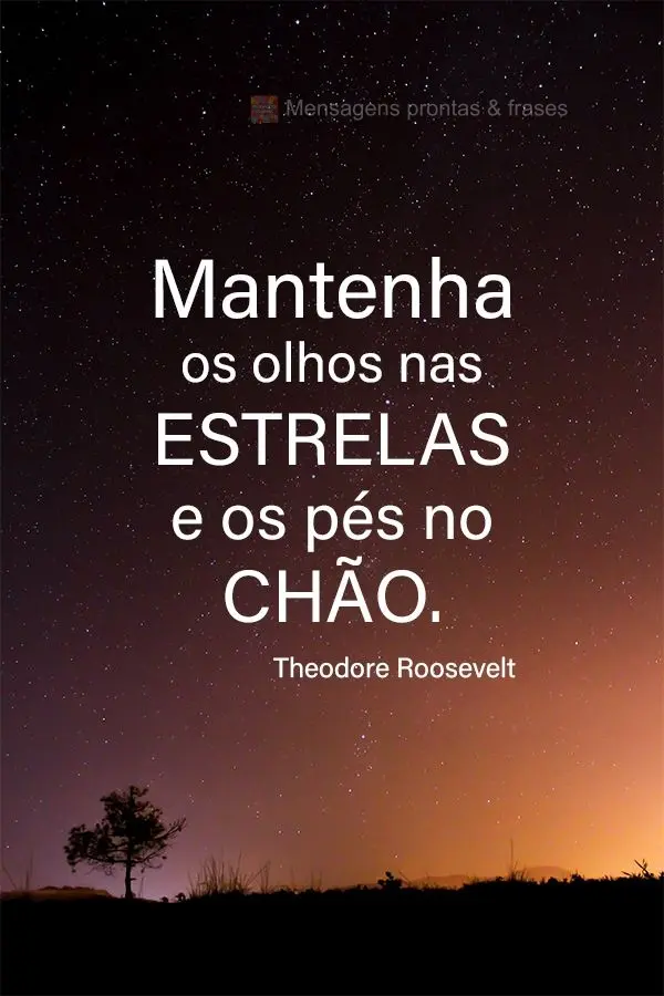 Mantenha os olhos nas estrelas e os pés no chão.
 Theodore Roosevelt