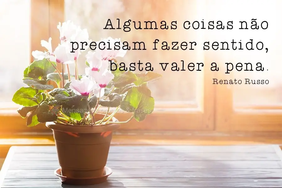 Algumas coisas não precisam fazer sentido, basta valer a pena. 
 Renato Russo