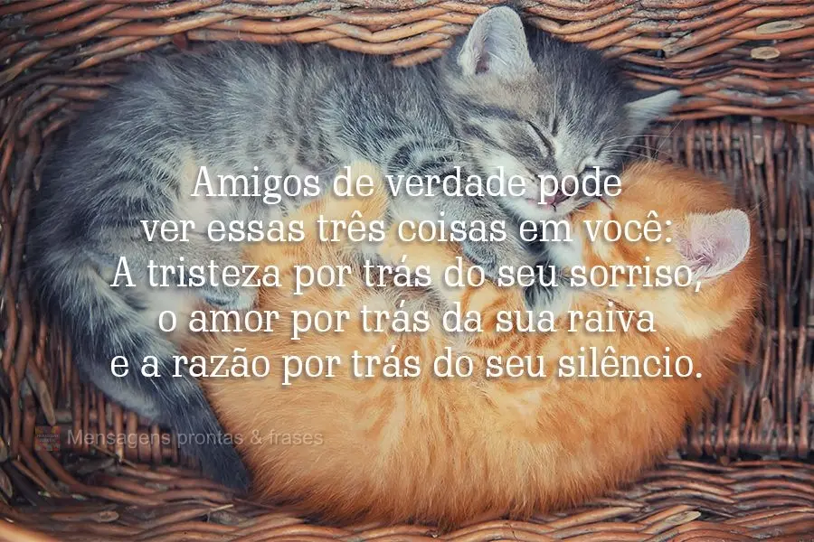 Amigos de verdade podem ver essas três coisas em você: A tristeza por trás do seu sorriso, o amor por trás da sua raiva e a razão por trás do seu s...