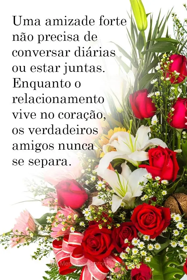 Uma amizade forte não precisa de conversas diárias ou estar juntos. Enquanto o relacionamento vive no coração, os verdadeiros amigos nunca se separam...