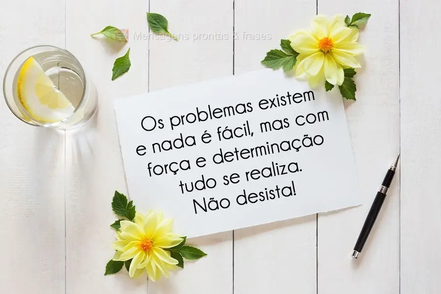 Os problemas existem e nada é fácil, mas com força e determinação tudo se realiza. Não desista!
