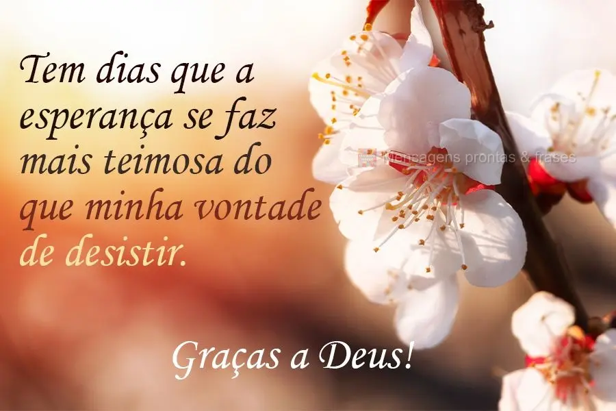 Tem dias que a esperança se faz mais teimosa do que minha vontade de desistir. Graças a Deus!
