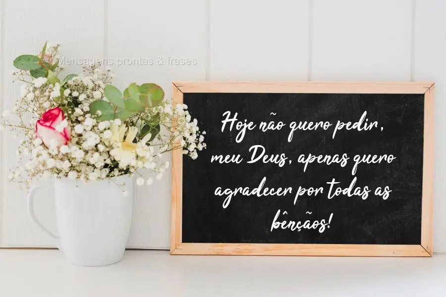 Hoje não quero pedir, meu Deus, apenas quero agradecer por todas as bênçãos!
