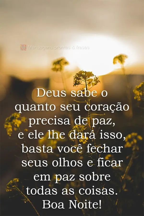 Deus sabe o quanto seu coração precisa de paz, e ele lhe dará isso, basta você fechar seus olhos e ficar em paz sobre todas as coisas. 
 Boa Noite!...