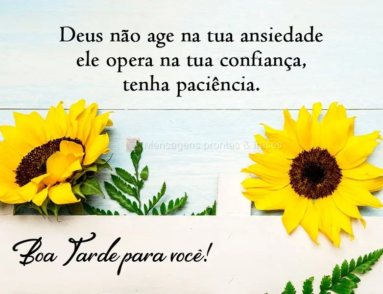 Deus não age na tua ansiedade, Ele opera na tua confiança, tenha paciência!
 Boa Tarde para você!