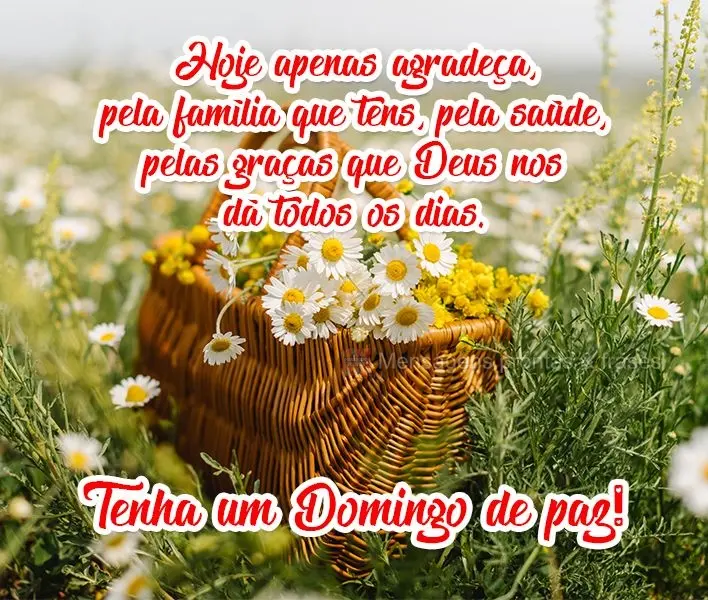 Hoje apenas agradeça pela família que tem, pela saúde e pelas graças que Deus nos dá todos os dias. 
 Tenha um Domingo de paz!