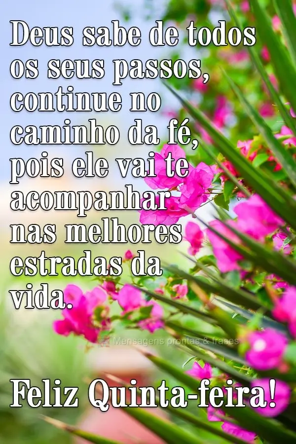 Deus sabe de todos os seus passos, continue no caminho da fé, pois ele vai te acompanhar nas melhores estradas da vida.  Feliz Quinta-feira!