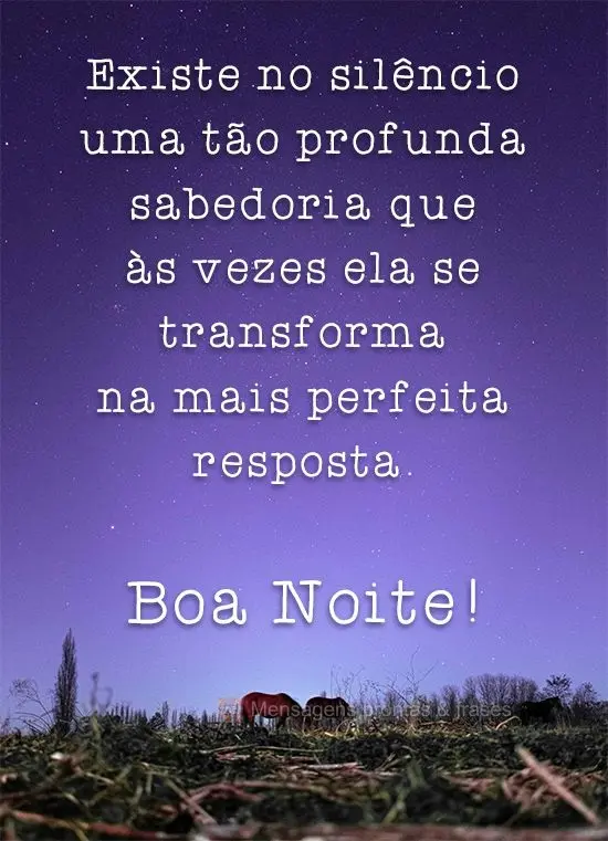 Existe no silêncio uma tão profunda sabedoria que às vezes ela se transforma na mais perfeita resposta. 
 Boa Noite!