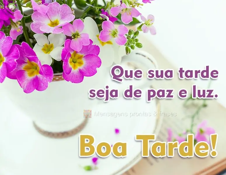 Que sua tarde seja de paz e luz. 
 Boa Tarde!