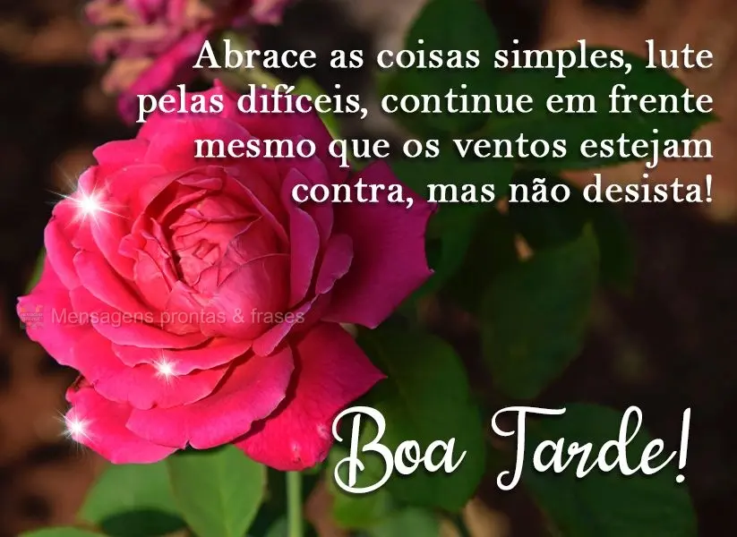 Abrace as coisas simples, lute pelas difíceis, continue em frente mesmo que os ventos estejam contra, mas não desista! 
 Boa Tarde!