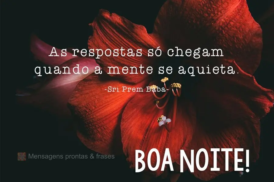 As respostas só chegam quando a mente se aquieta.  Boa Noite! Sri Prem Baba. 