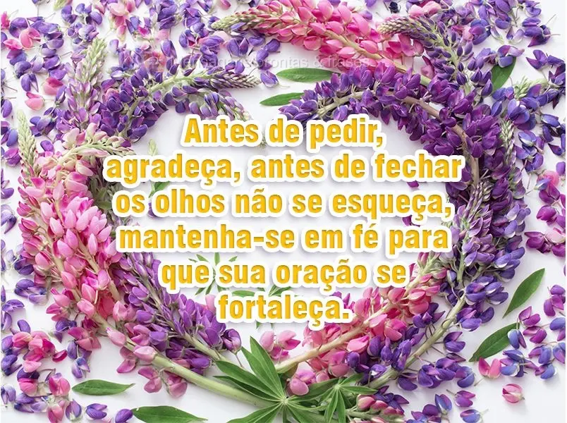 Antes de pedir, agradeça. Antes de fechar os olhos não se esqueça, mantenha-se em fé para que sua oração se fortaleça.
