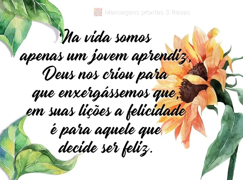 Na vida somos apenas um jovem aprendiz, Deus nos criou para que enxergássemos que, em suas lições, a felicidade é para aquele que decide ser feliz.
...