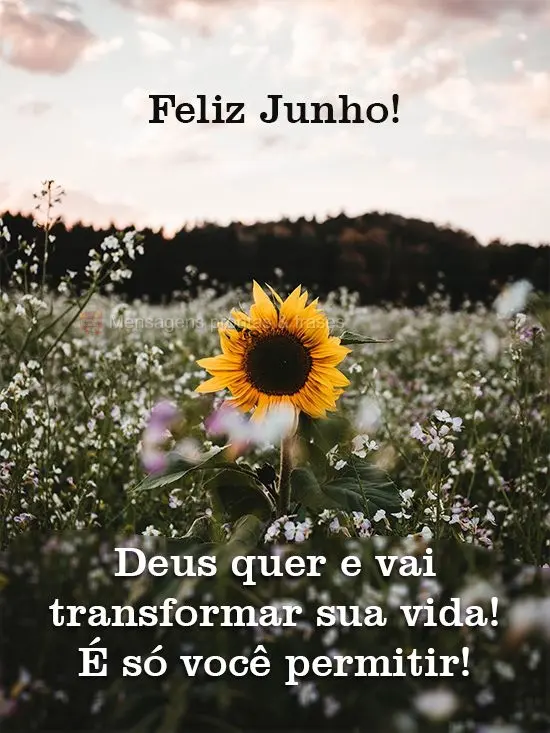 Deus quer e vai transformar sua vida! É só você permitir!
 Feliz Junho!