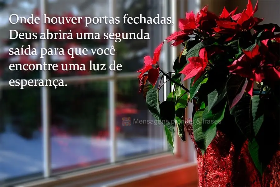 Onde houver portas fechadas, Deus abrirá uma segunda saída para que você encontre uma luz de esperança.
